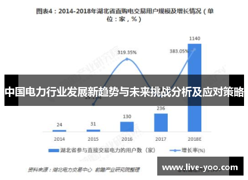 中国电力行业发展新趋势与未来挑战分析及应对策略