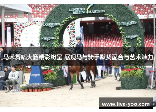 马术舞蹈大赛精彩纷呈 展现马与骑手默契配合与艺术魅力